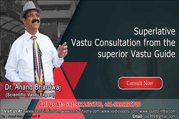 Vastu Consultant  Best Vastu Expert Dr. Anand Bhardwaj