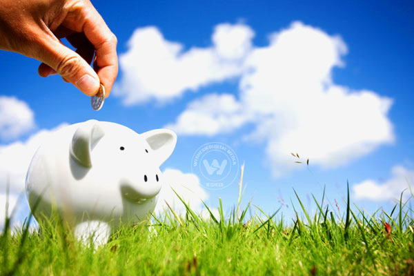 /media/k2/galleries/45920/save-your-money5