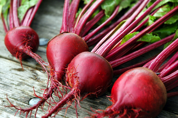 /media/k2/galleries/51219/06