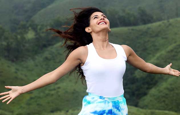 /media/k2/galleries/64751/Manasuku-Nachindi-Movie-Stills-01