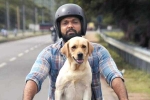 777 Charlie telugu movie review, 777 Charlie movie review, 777 charlie movie review rating story cast and crew, Wtf