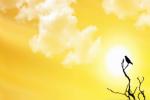 summer culminating point, summer solstice, friday is the longest day of the year, Ap news headline