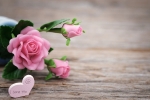 mothers day gifts, mothers day gifts if away from home, 8 ways to send love to your mom on mother s day even when you are away from home, Microwave