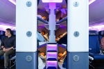 Air New Zealand Bunk Beds new updates, Air New Zealand Bunk Beds, air new zealand introduces bunk beds in economy flights, Boeing s 787