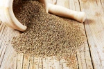 Ajwain breaking news, Ajwain, benefits of adding carom seeds to your diet, Cuisine