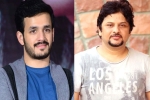 Akhil Akkineni next movie, Akhil Akkineni news, akhil akkineni and surendar reddy joins hands, Coronavirus lockdown Akhil Akkineni next movie, Akhil Akkineni news, akhil akkineni and surendar reddy joins hands, Coronavirus lockdown