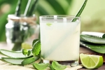 Aloe Vera Juice latest, Aloe Vera Juice latest, can aloe vera juice help in blood sugar control, Health benefits