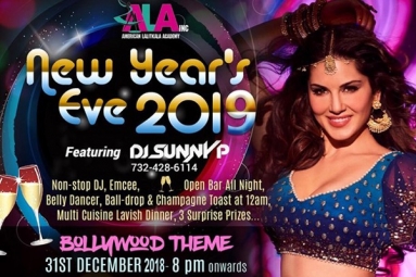 American Lalitkala Academy - NYE 2019 American Lalitkala Academy - NYE 2019