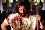 Sandeep Reddy Vanga, Animal Movie numbers, animal stands strong on monday despite drop, Animal movie review