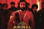 Animal, Animal Filmfare, record breaking nominations for animal, Filmfare