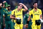 Australia Vs South Africa scoreboard, Australia, australia enters world cup final 2023, David warner