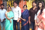 Nagarjuna, Bangarraju budget, nagarjuna s bangarraju gets its official launch, Prequel Nagarjuna, Bangarraju budget, nagarjuna s bangarraju gets its official launch, Prequel