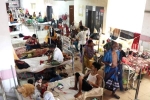 Bangladesh Dengue, Bangladesh Dengue, bangladesh dengue outbreak death toll crosses 1000, Dengue