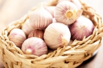 Chinese garlic problems, Chinese garlic in India, how to identify banned chinese garlic in the indian market, Chinese garlic