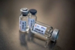 Bharat Biotech, Covid-19, bharat biotech informs steady progress in covid 19 vaccine development, Hawk
