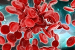 Health news, Health news, scientists generate blood forming stem cells, Frog Health news, Health news, scientists generate blood forming stem cells, Frog