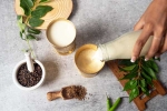 Buttermilk for Weightloss news, Buttermilk for Weightloss updates, buttermilk before bed will help in weight loss, Meta