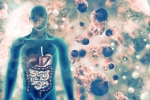 lungs, doctors, covid 19 can affect almost all organs experts at aiims, Aiims