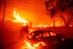 California Wildfire latest, California, california declares wildfire emergency, Hollywood