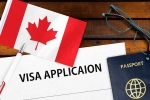Canada Vs India Visa rule process, Canada Vs India Visa rule latest, canada reduces tourist visas issued to indians, Canada visa