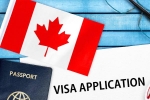Canada's study visa approvals, Canada's study visa approvals India, canada s study visa approvals for indian students to drop by 50 in 2024, Federal government