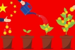 CDH Investments, CDH Investments, chinese vcs have kept fdis with india on hold, Paytm