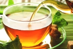 green tea, tea, is consuming tea linked to immunity, Body health