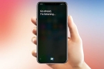 siri on iphone, how to activate siri on iphone 8, apple reveals its contractors are regularly listening to your conversations with siri, Apple iphones 5c siri on iphone, how to activate siri on iphone 8, apple reveals its contractors are regularly listening to your conversations with siri, Apple iphones 5c