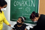 Covaxin latest, Covaxin breaking, covaxin infected 50 percent of the teens, Covid vaccine