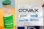 COVAX updates, Covishield COVAX, sii to resume covishield supply to covax, Astrazeneca