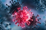 USA Coronavirus breaking updates, Coronavirus, delta variant makes usa tensed again, Usa coronavirus