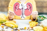 Healthy Kidneys health tips, Healthy Kidneys tips, food items to include in your diet for healthy kidneys, Heart health