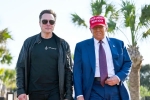 Donald Trump, Elon Musk news, donald trump finally addresses rumors about elon musk, Arizona