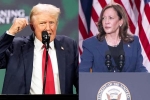 Donald Trump Vs Kamala Harris breaking, Donald Trump Vs Kamala Harris war, donald trump calls kamala harris is married to a jewish man, Judges