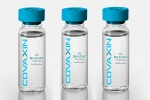 EUL for Covaxin, EUL for Covaxin breaking news, who delays the eul decision on covaxin, Soumya swaminathan