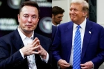 Donald Trump, Elon Musk, elon musk s big bet on donald trump, Nelson