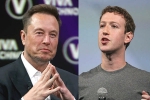 Elon Musk Vs Mark Zuckerberg updates, Elon Musk, elon musk vs mark zuckerberg rivalry, Cage fight Elon Musk Vs Mark Zuckerberg updates, Elon Musk, elon musk vs mark zuckerberg rivalry, Cage fight