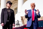 Donald Trump, Donald Trump, elon musk asks donald trump to reverse china tariffs, Consensus