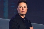 Elon Musk news, X, elon musk talks about cage fight again, Revenue