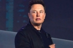 Elon Musk news, Elon Musk latest update, elon musk talks about cage fight again, Cage fight Elon Musk news, Elon Musk latest update, elon musk talks about cage fight again, Cage fight