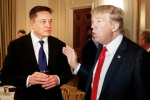 Donald Trump's Campaign news, Donald Trump's Campaign latest breaking, elon musk donates for donald trump s campaign, Pocket