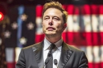 US elections, Elon Musk in Trump Cabinet, is elon musk in the trump cabinet, Donald trump and elon musk