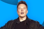 Elon Musk layoffs, Elon Musk, elon musk s new ultimatum to twitter staffers, Email