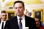 Donald Trump, Elon Musk vs Trump Supporters updates, elon musk vs trump supporters over indian immigrants, Vivek