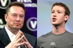 Elon Musk and Mark Zuckerberg flight, Elon Musk, elon vs zuckerberg mma fight ahead, Brazil