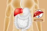 Fatty Liver prevention, Fatty Liver cure, dangers of fatty liver, Pune