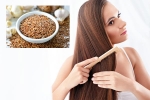Flaxseeds latest breaking, Flaxseeds breaking updates, how flaxseeds can help for a long and healthy hair, Hair growth