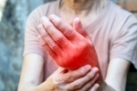 Foods for Inflammation breaking, Foods for Inflammation list, magical indian superfoods to fight inflammation, Animal