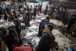 Israel war, Hamas, 500 killed at gaza hospital attack, Ambassador