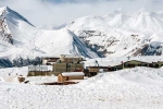 Indians at Georgia deaths, Indians at Georgia accident, what is the poisonous gas that killed 12 indians at georgia ski resort, Infant